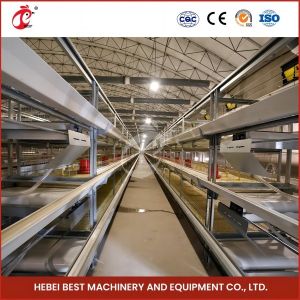 Buy cheap High Precision Automatic Broiler Chicken Cage H Type Poultry Broiler Cage Rose from wholesalers