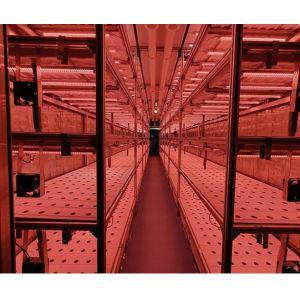 Container House for Leafy Vegetable Cultivation Hydroponics Cultivation