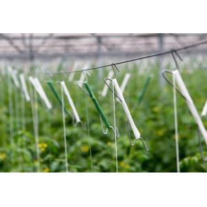 Buy cheap Uv Treated Greenhouse Use Tomato Tying Twine from wholesalers