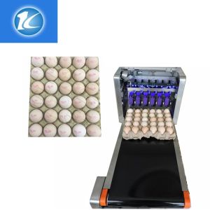 Buy cheap Automatic Continuous Inkjet Batch Coding Machine / Egg Grading Equipment from wholesalers