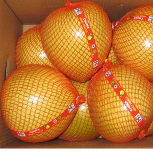 Chinese Golden Supplier Delicious Fresh Honey Pomelo / Grapefruit With Global