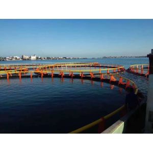 1 Year After-sales Service for Black and Yellow Deep-Sea Super Aquaculture Cages