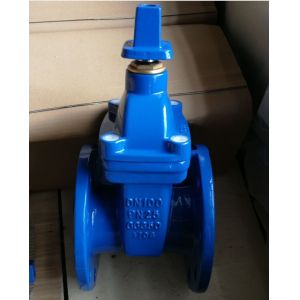 Customized Ductile Cast Iron Gate Valve With Rubber Seat Parallel Slide for