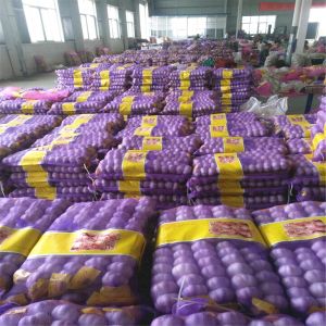 Buy cheap 4.5cm Pure White Natural Fresh Onion No Black Mould from wholesalers