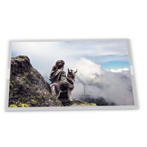 Buy cheap N080ICE-GB0 Rev.A1 8inch TFT LCD Display Modules supplier lcd panel Rectangular screen supplier lcd panel from wholesalers