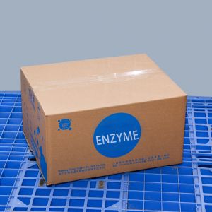 Grilled Intestine Adhesive Transglutaminase Enzyme Providing Enzyme Preparation