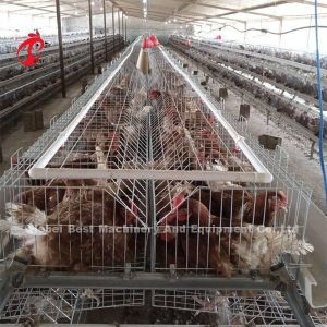 Buy cheap Rearing Cage Poultry Farm Brooder Breeding Equipment Sandy from wholesalers