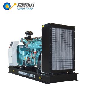 Factory directly sale CNG natural gas generator 250KW