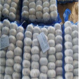 Buy cheap PURE WHITE GARLIC WITH TUBE & MESHBAG PACKAGE from wholesalers