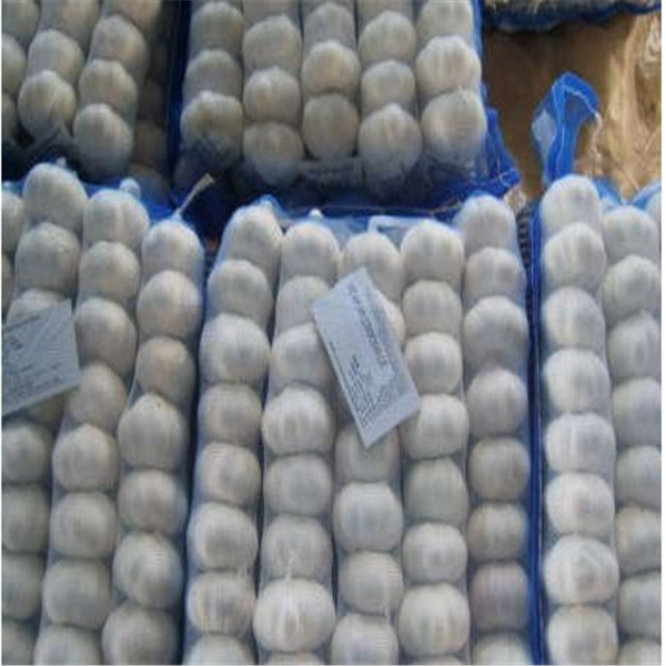 Buy cheap PURE WHITE GARLIC WITH TUBE & MESHBAG PACKAGE from wholesalers
