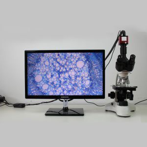 Factory price Economical 40x-1600x binocular biological microscope Microscope