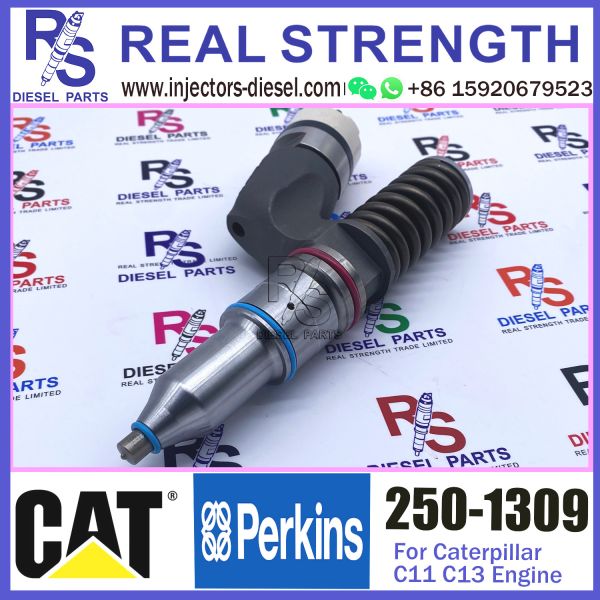 Quality 250-1309 Diesel Engine Fuel Injector 250-1309 294-3002 10R-3258 10R-6162 for Caterpillar C11 C13 engine for sale
