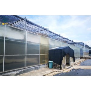 Buy cheap Multi-Span Polycarbonate Greenhouse With Durable Easy Maintenance from wholesalers