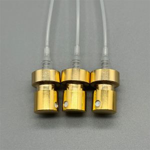 Luxurious Golden Perfume Bottle Pump Elegant Dispenser for Fragrances