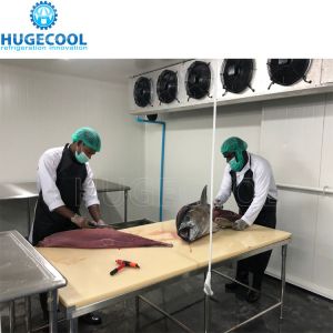 5HP Condensing Unit Cold Storage Room for Fish with Customized Request and