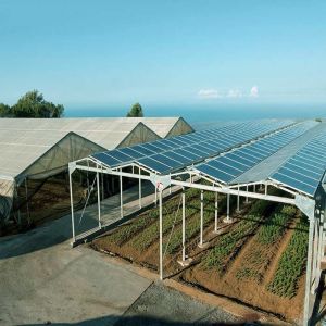 Buy cheap Galvanized Anodized Solar PV Greenhouse With Shading System from wholesalers