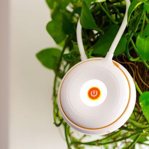 Buy cheap 3 IN 1 Brand NEW Portable Rechargable Flashlight Night light Table night JP-sxd from wholesalers