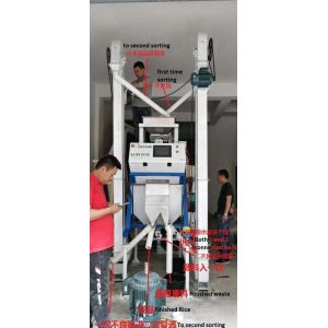 Cashew Rice Color Sorter