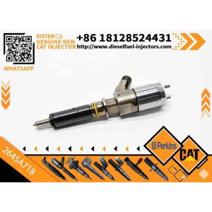 Fuel Injector 2645A718 2645A734 2645A747 for Perkins 1104D-E44TA Diesel Engine