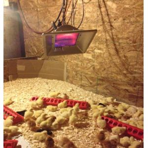 Buy cheap 3900W Poultry Brooding Room LPG Heater Adjustable from wholesalers