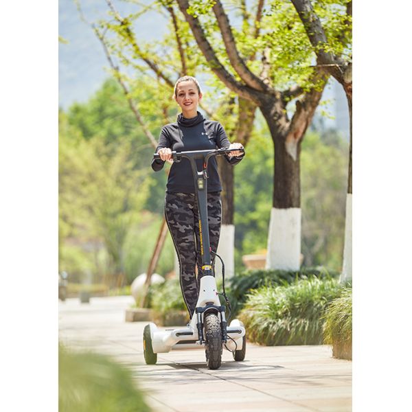Quality ARD 301 Alu Alloy H1340mm Electric Balance Scooter for sale