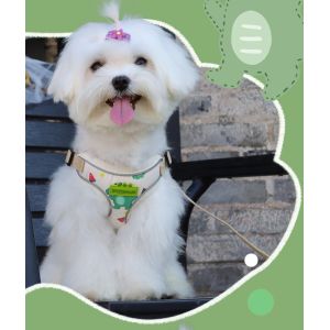 Buy cheap New dog leash small and medium-sized dog chest harness cartoon dinosaur dog walking rope reflective pet chest harness from wholesalers