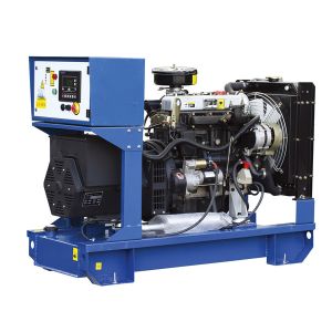 Indursty Bank Perkins 10kw Diesel Generator With IEC34 Standard