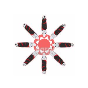 Yoga Dock 9'6" Or Custom Made Inflatable Fitness Yoga GYM SUP Air Platform