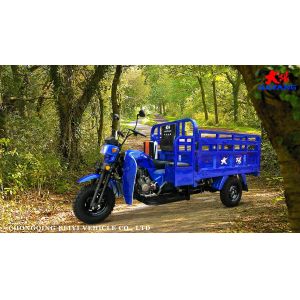 DAYANG Heavy Loading Tricycle 175CC/200CC/250CC Q2 Cargo Tricycles for Cargo