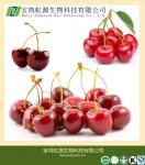 Buy cheap 100% Soluble Acerola Cherry Extract Powder from wholesalers