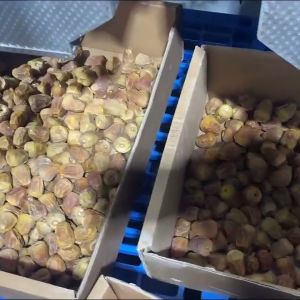 Buy cheap Industrial Dates Sorting Machine from wholesalers