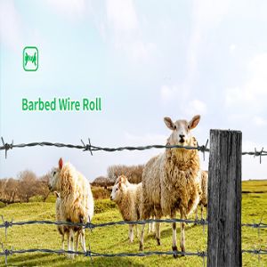 Double-strand Positive and Negative Twisting Barbed Wire with ISO9001 2008