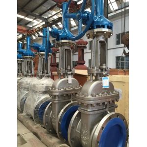 stainless steel CF8M rising stem gate valve