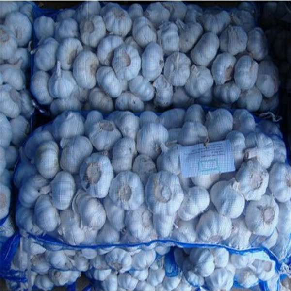 Quality GARLIC WITH 10KG MESHBAG PACKAGE for sale