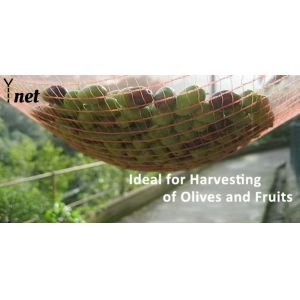 Buy cheap Green Olive Harvest Net 8x12m 8x14m Fruit Collection Net 90g from wholesalers