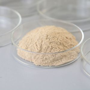 Buy cheap 500-1 Dosage Neutral Protease With Thermostable Stability And Recommended Dosage from wholesalers