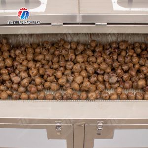 Buy cheap Ginger Potato Carrot Taro Sweet potato Yam Saiko persimmon papaya horseshoe Sealed Cover Type Peeling Machine Wash Washer Washing Cleaning from wholesalers