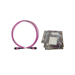 Buy cheap OS2 OM3 OM4 OM5 SM MM 8F 12F 24F Elite Loss MPO MTP patchcord from wholesalers