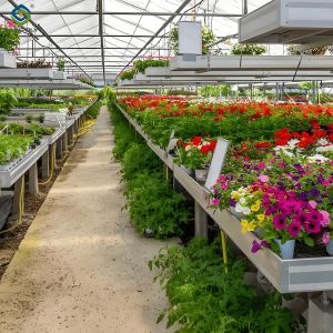 Buy cheap Glass Film Polycarbonate Greenhouse Flower Greenhouse With Intelligent Systems from wholesalers