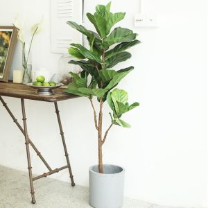 Buy cheap Natural 120cm Height Pandurata Artificial Ficus Tree Landing Plant from wholesalers