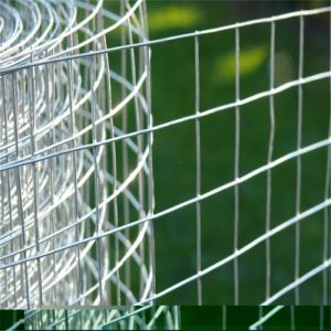 Buy cheap High Tensile Strength Welded Stainless Steel Wire Mesh for Metal Building Materials Wire Welding Mesh from wholesalers
