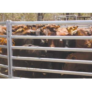 1.8m Height Galvanized Tube Heavy Duty Cattle Panel