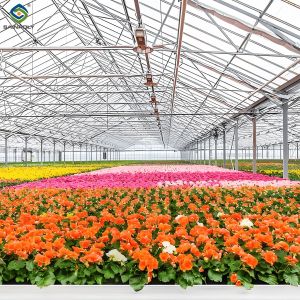 Buy cheap Glass Film Polycarbonate Greenhouse Flower Greenhouse With Intelligent Systems product