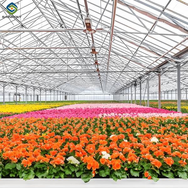 Quality Glass Film Polycarbonate Greenhouse Flower Greenhouse With Intelligent Systems for sale