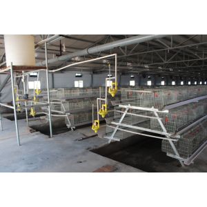 Buy cheap Farming Coop Chick Rearing Cage Animal Husbandry Equipment from wholesalers
