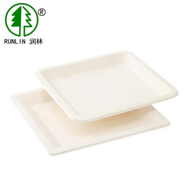 Quality LFGB Rectangular Biodegradable Sugarcane Disposable Plates For Wedding Parties for sale