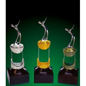 Buy cheap Special Elegant  Crystal Trophy from wholesalers