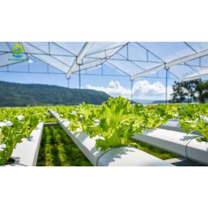 Buy cheap 5.8m Length Commercial Aquaponics System Soilless Culture Fish And Plant System from wholesalers