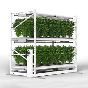 Buy cheap Construction Irrigation Holding Stands Intelligent Home Hydroponic Lettuce product