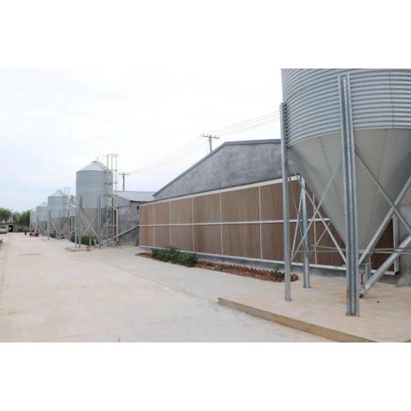 Galvanized Full Antomatic Steel Poultry Farm Shed Bird House Prefabricated